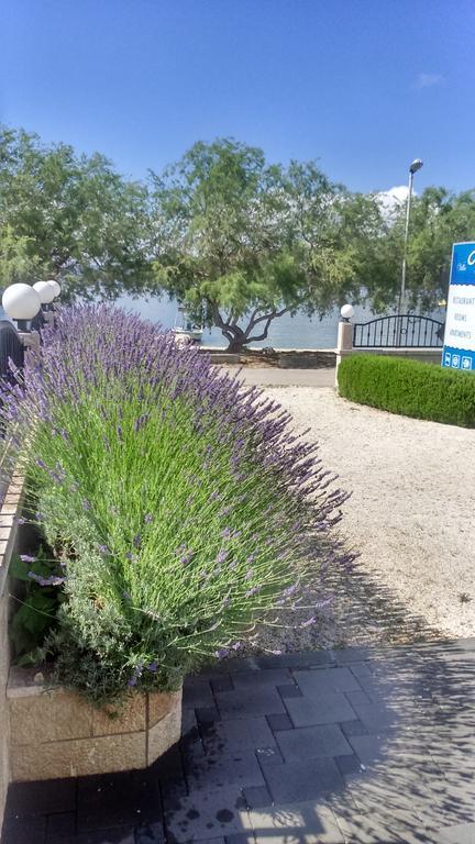 Villa Mediterana Seget Vranjica Eksteriør billede